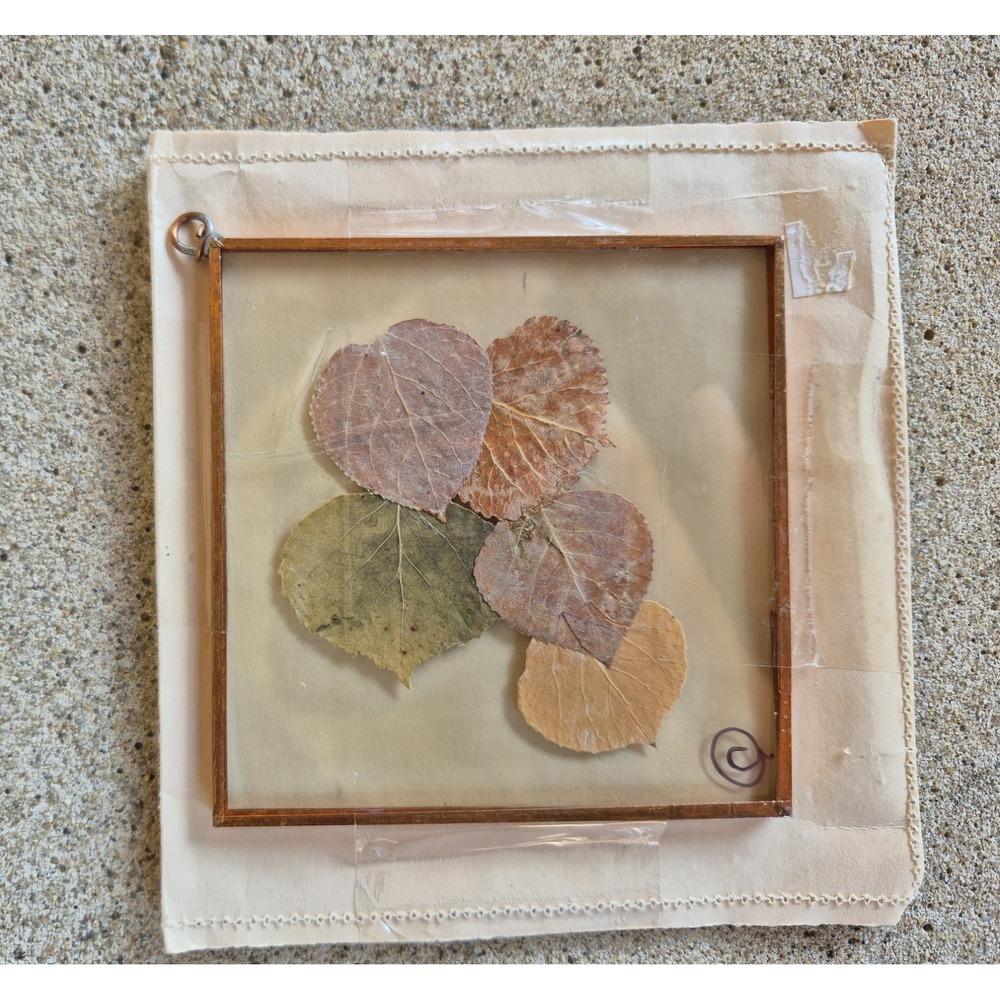 Vintage Rocky Mountain Aspen Leaves Solid Brass Glass Frame 3.5" Window Decor